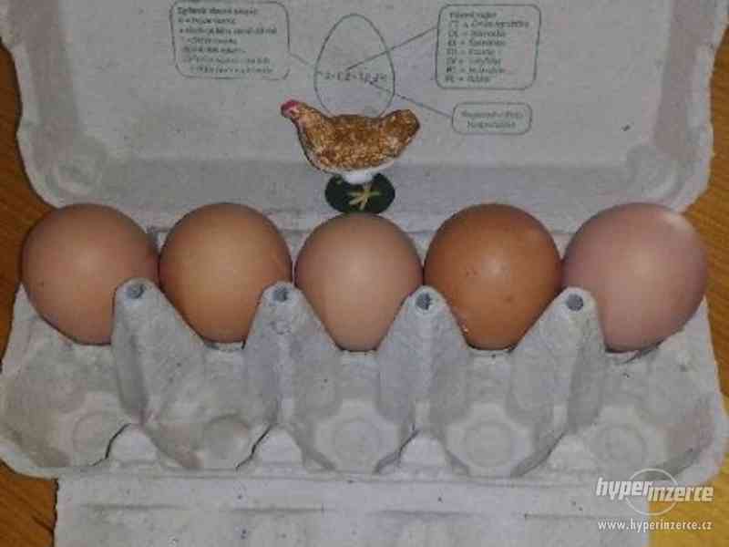 Prodám domácí lahodná vajíčka z volného chovu,bez chemie - foto 3