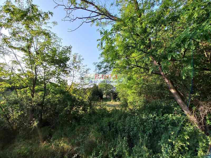 Pronájem zahrady Ivančice okres Brno-venkov u lesa 178 m2 - foto 10