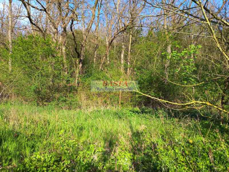 Pronájem zahrady Ivančice okres Brno-venkov u lesa 178 m2 - foto 3