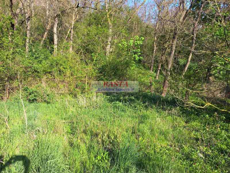 Pronájem zahrady Ivančice okres Brno-venkov u lesa 178 m2 - foto 4