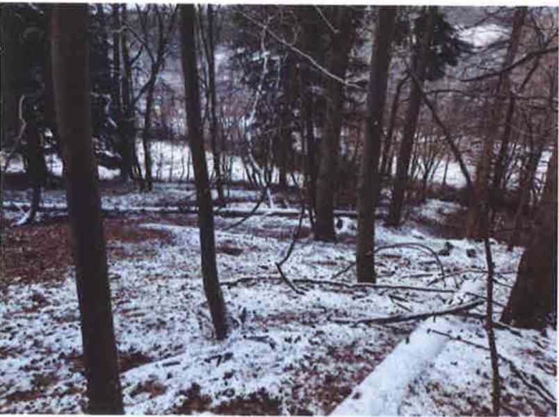 Prodej lesních pozemků o výměře 10232m2, k.ú. Trnava u Zlína - foto 3