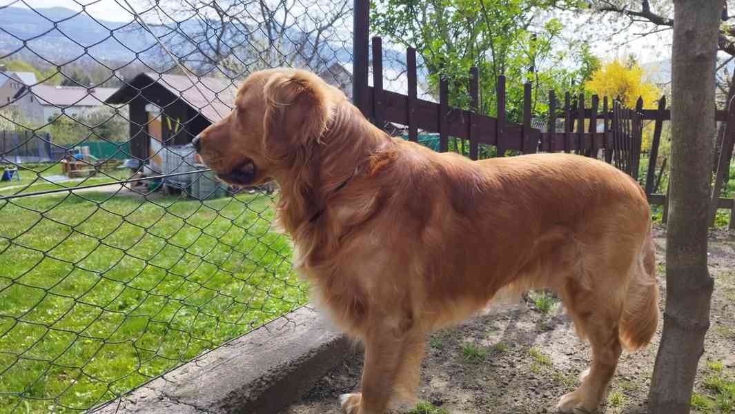 nabídka krytí - foto 3