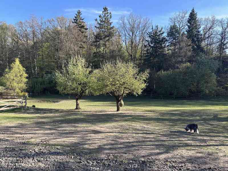 Pronajmu stáj v Úštěku  vhodnou pro dva koně - foto 6
