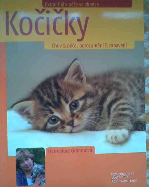 Daruji pelíšek k novým odkoupeným věcem pro kočičku - foto 18