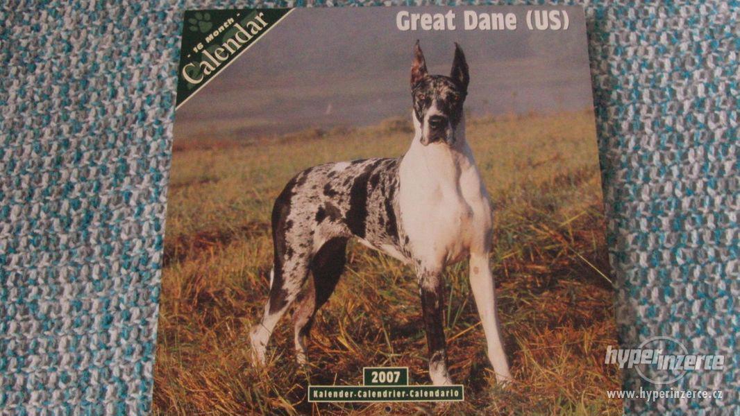 Great Dane (US) - Německá doga - kalendář 2007. - foto 1