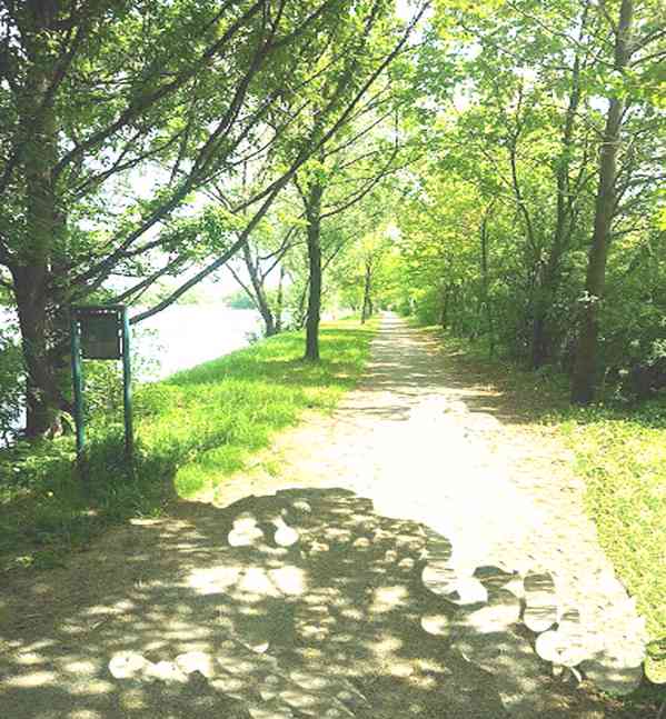 Pronajmu novostavbu 1+kk Brno, Horní Heršpice. 43 m2 - foto 19