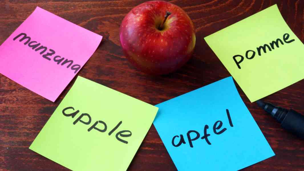 Kvalitní výuka francouzštiny a soukromé konzultace  - foto 2