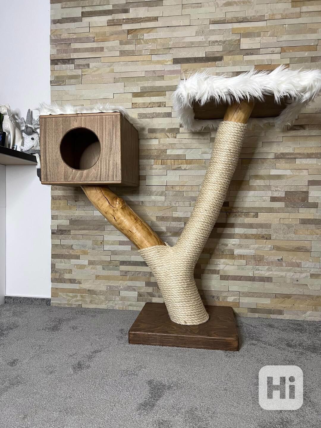 Kočičí stromy  - foto 1