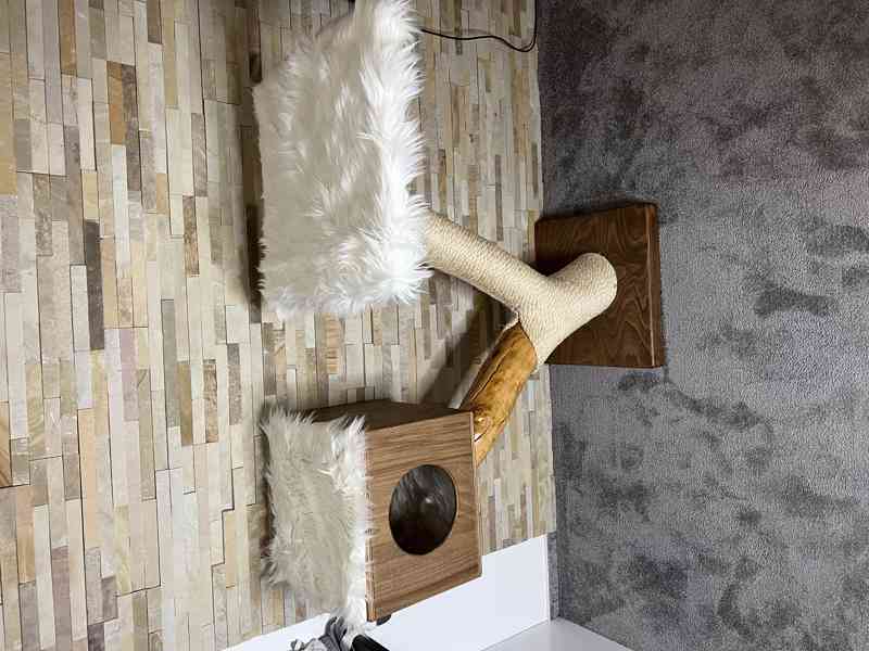 Kočičí stromy  - foto 4