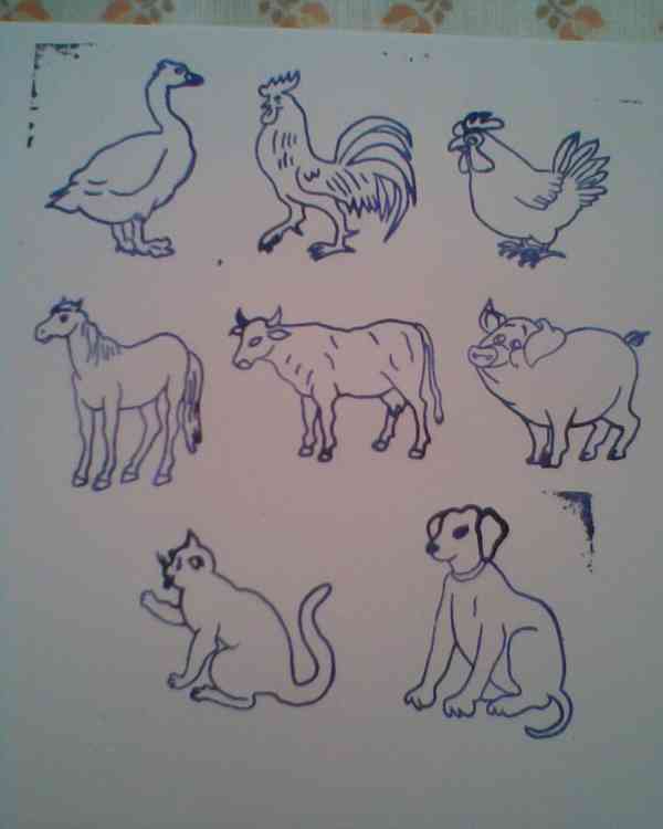 Různé hračky jen!... - foto 9