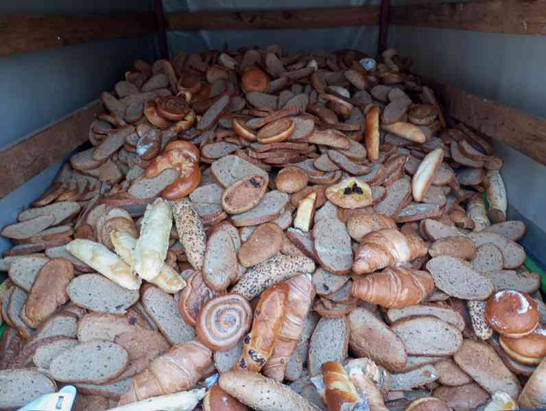 prodám krmné pečivo za 8,- /1kg - foto 3