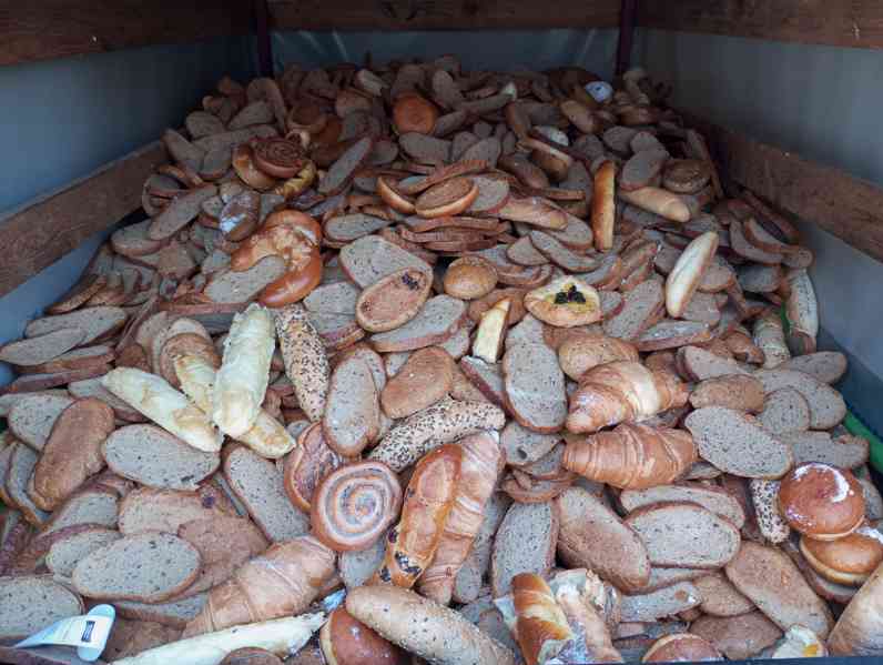 prodám krmné pečivo za 8,- /1kg - foto 4