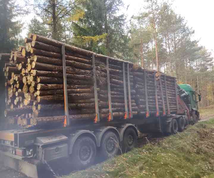 Palivové dřevo  - foto 2
