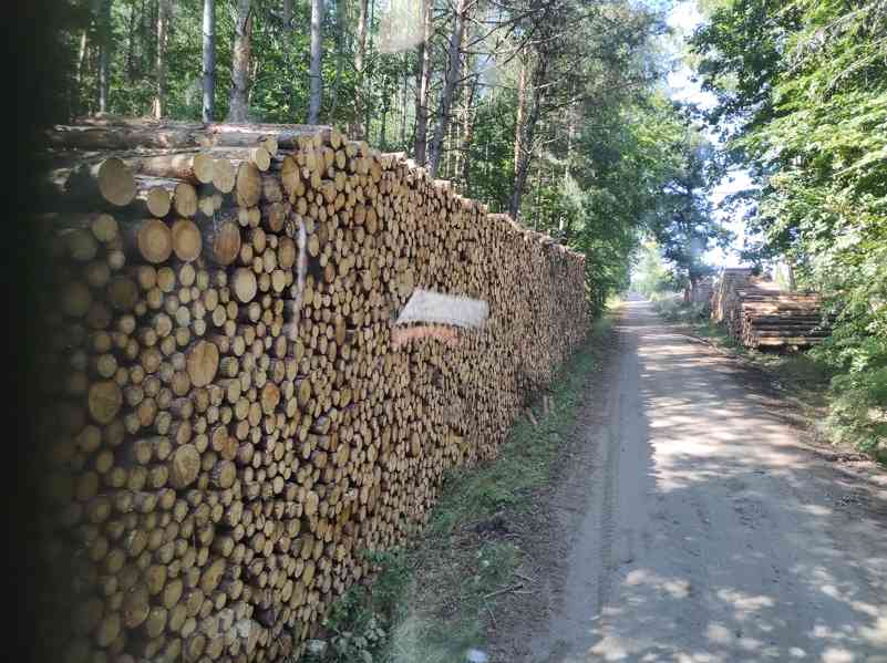 Palivové dřevo  - foto 5