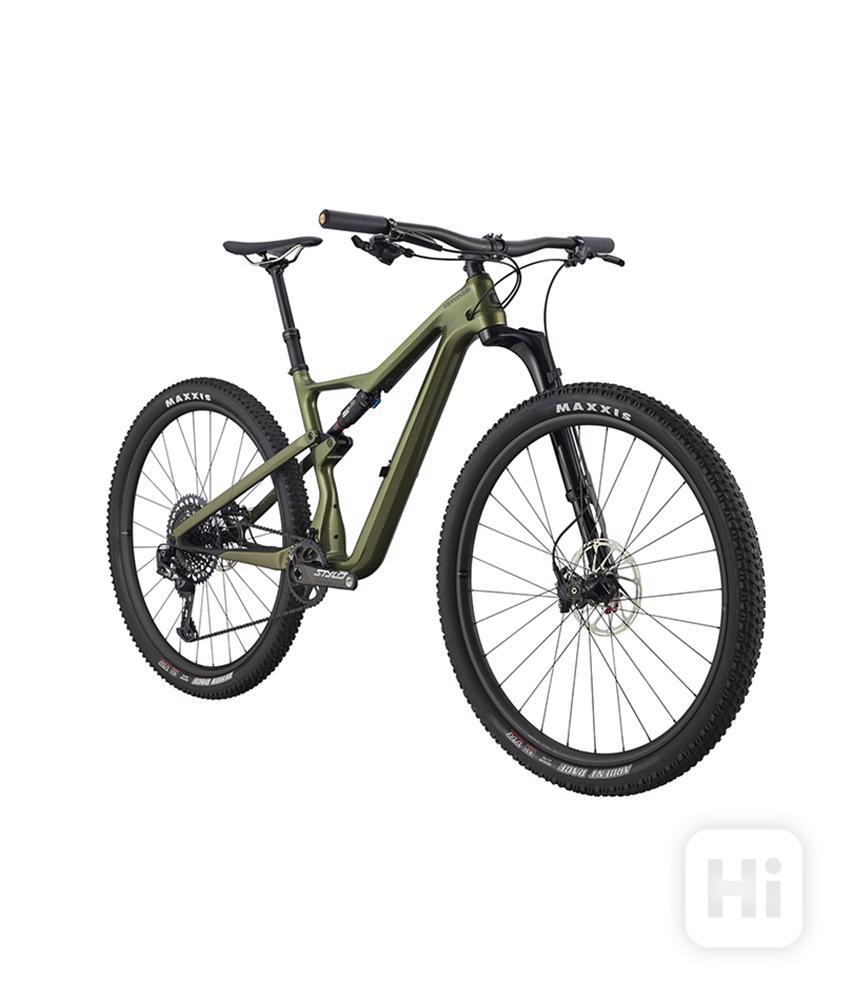scalpel se ltd 2021