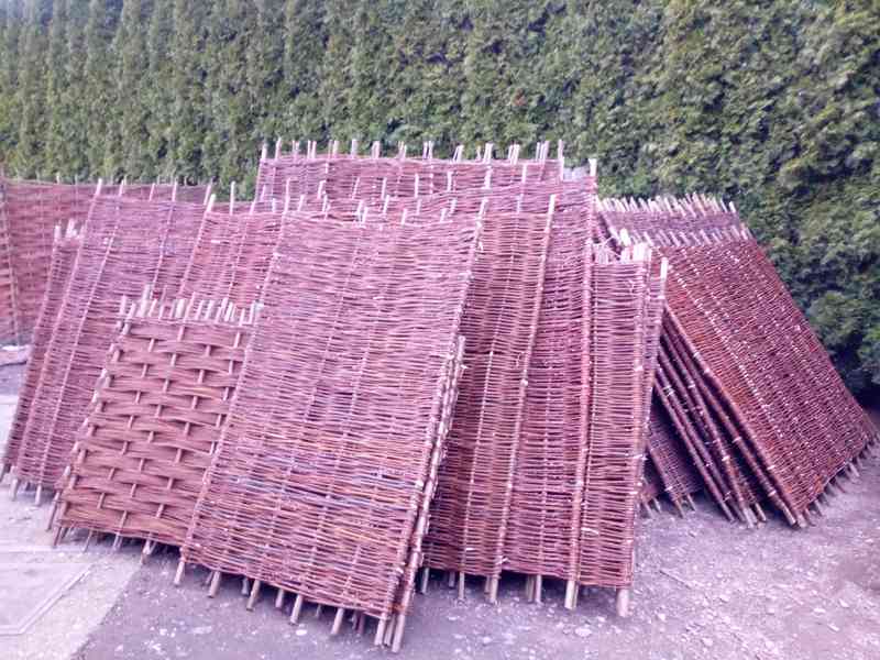 Proutěný plot - foto 3
