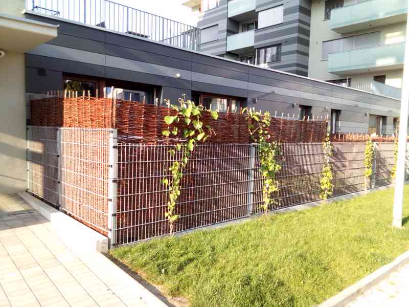 Proutěný plot - foto 2