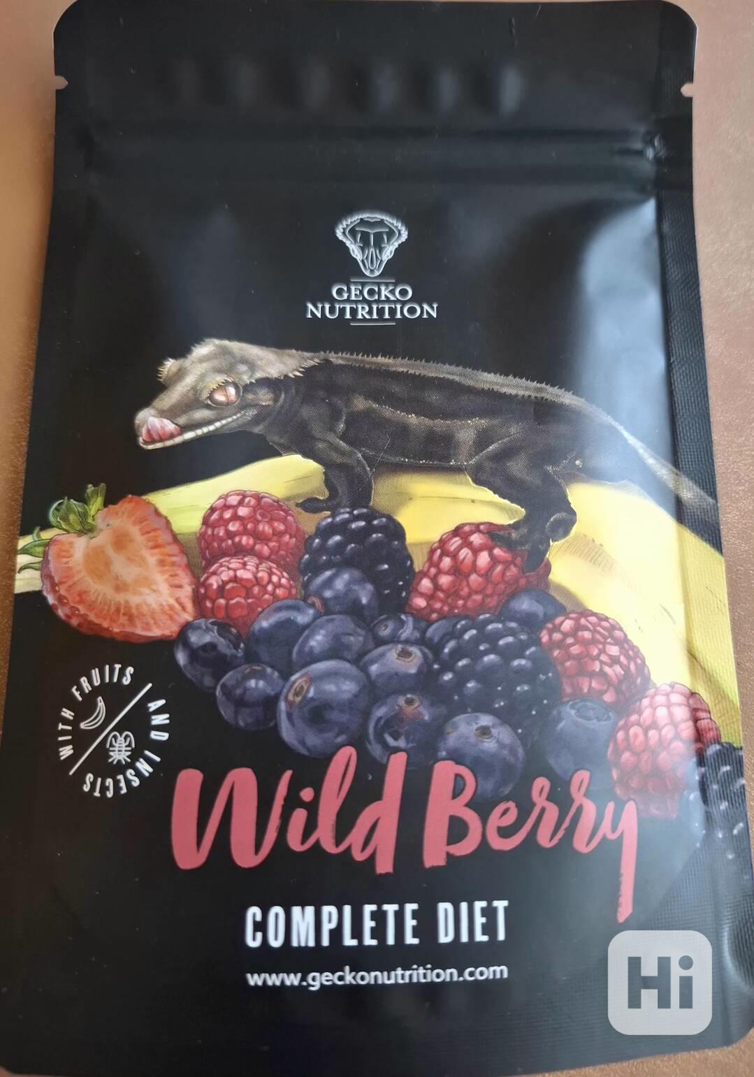 Gecko Nutricion - foto 1