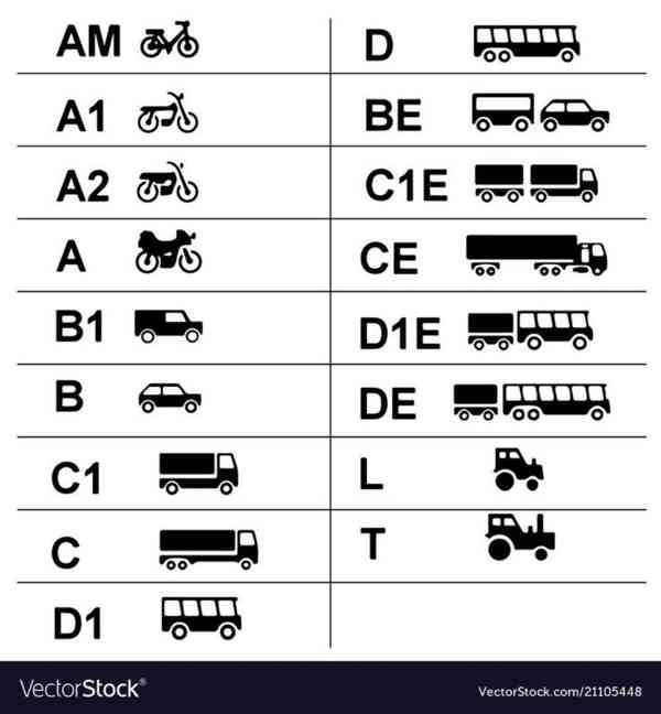  Řidičský průkaz online – Rychlá a bezpečná služba ✅ - foto 3