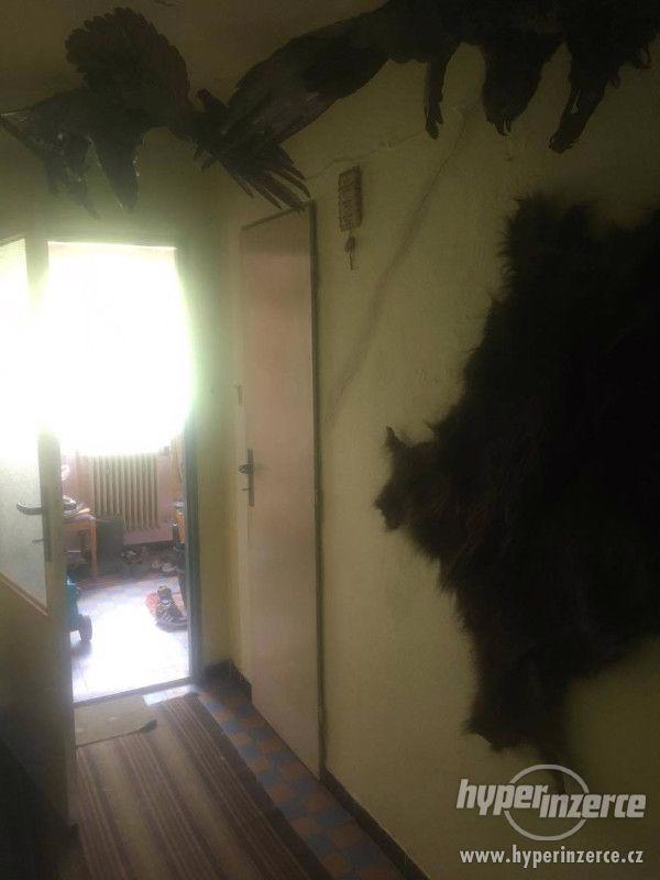 Prodám dům 5+1 obec Korouhev - foto 2