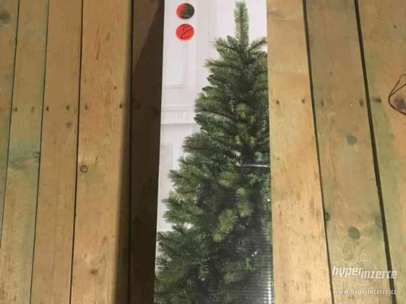 Vánoční stromek Borovice Kolorádo 180 cm - foto 1