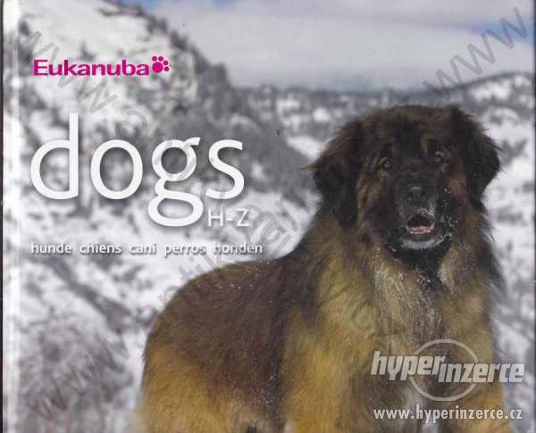 Dogs H-Z hunde, chiens, cani, perros, honden - foto 1
