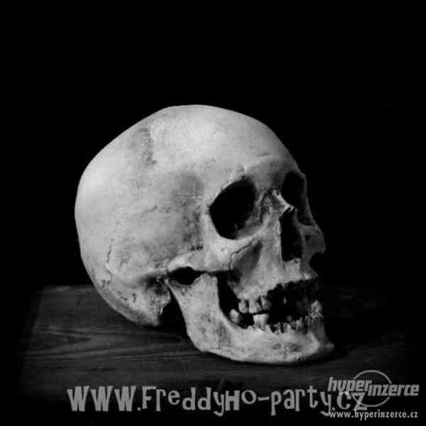 Lidská lebka a kosti jako dekorace - foto 7