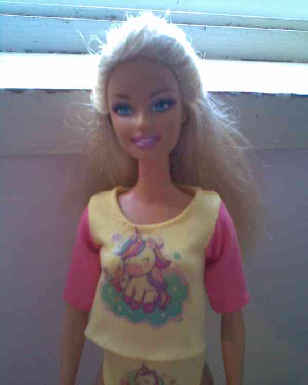 Nový koník s Barbie - foto 3