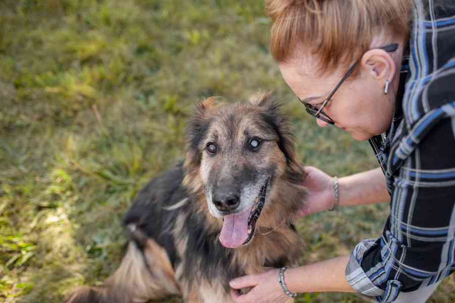 ASLÍK - 23 kg, kastrovaný psík 10 let - foto 1