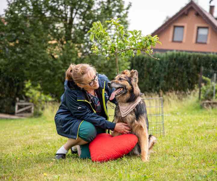 ASLÍK - 23 kg, kastrovaný psík 10 let - foto 10