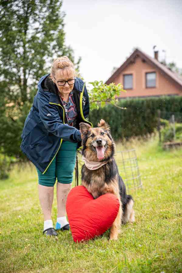 ASLÍK - 23 kg, kastrovaný psík 10 let - foto 6