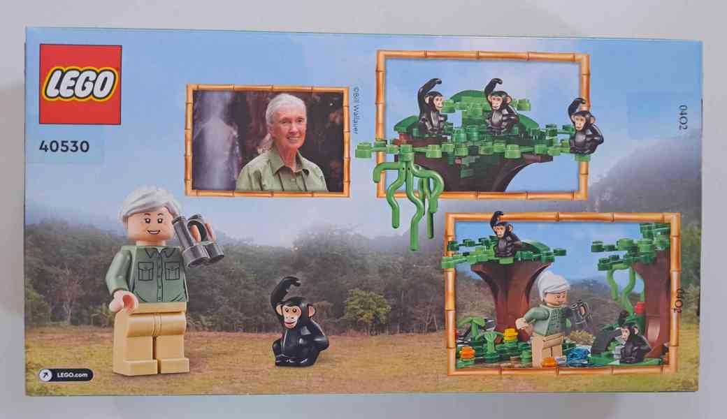 LEGO Pocta sl. osobnosti - Jane Goodallové (40530) - foto 2
