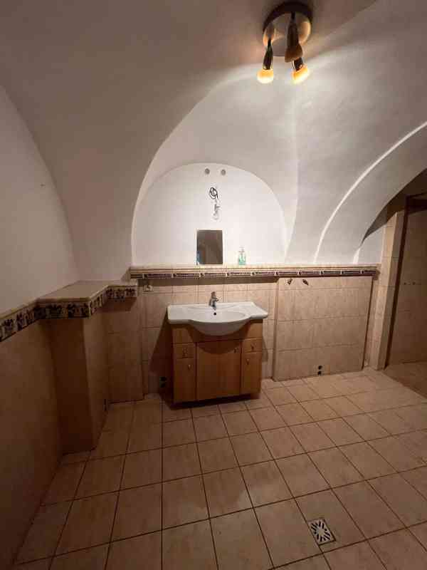 RD 5+1 s historií ze 17. století Pálava – Dolní Dunajovice. - foto 8