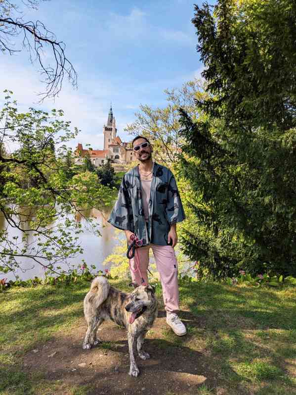 SALVADOR - 20 kg, kastrovaný psík 5 let  - foto 5