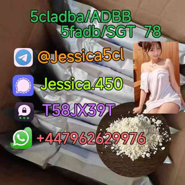 5F-ADB ADBB 5cladb precursor A-PVP 5cl rwa materials Shippin - foto 5