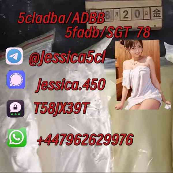 5F-ADB ADBB 5cladb precursor A-PVP 5cl rwa materials Shippin - foto 2