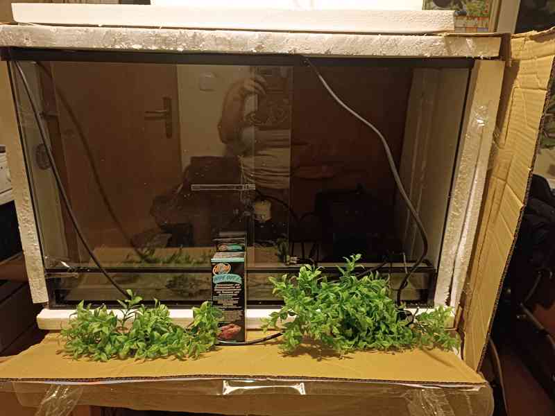 terárium 150x50x40 - foto 4