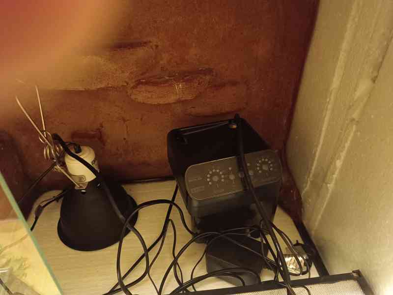 terárium 150x50x40 - foto 3