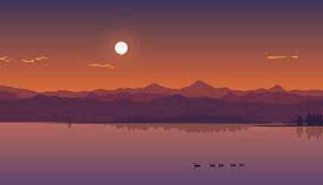 sdgdsvsdsfsfddddd - foto 1