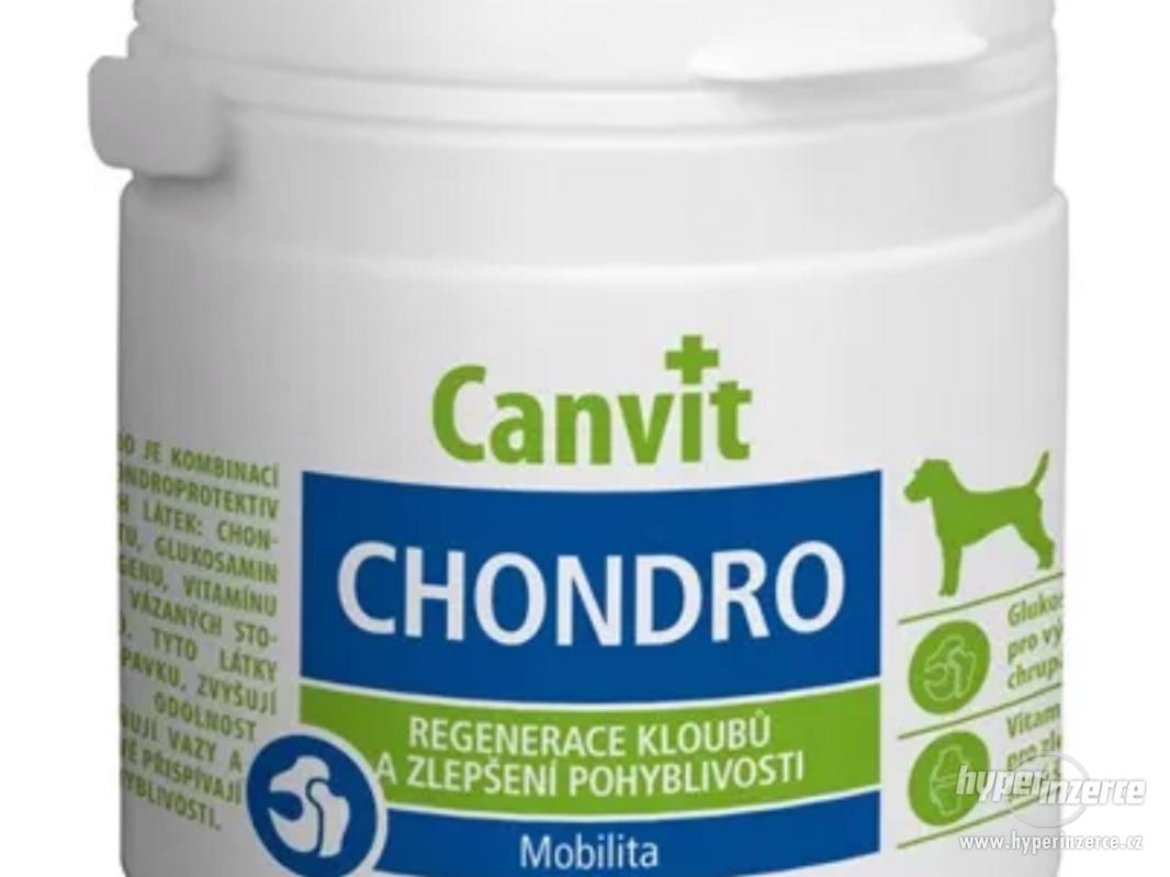 Canvit Chondro pro psy 100g - foto 1