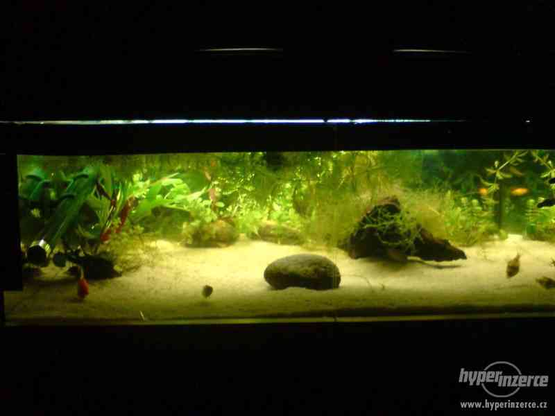 Prodám vestavěné akvárium - foto 3