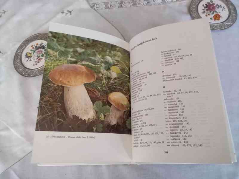 Léčivé houby dříve a nyní - foto 10
