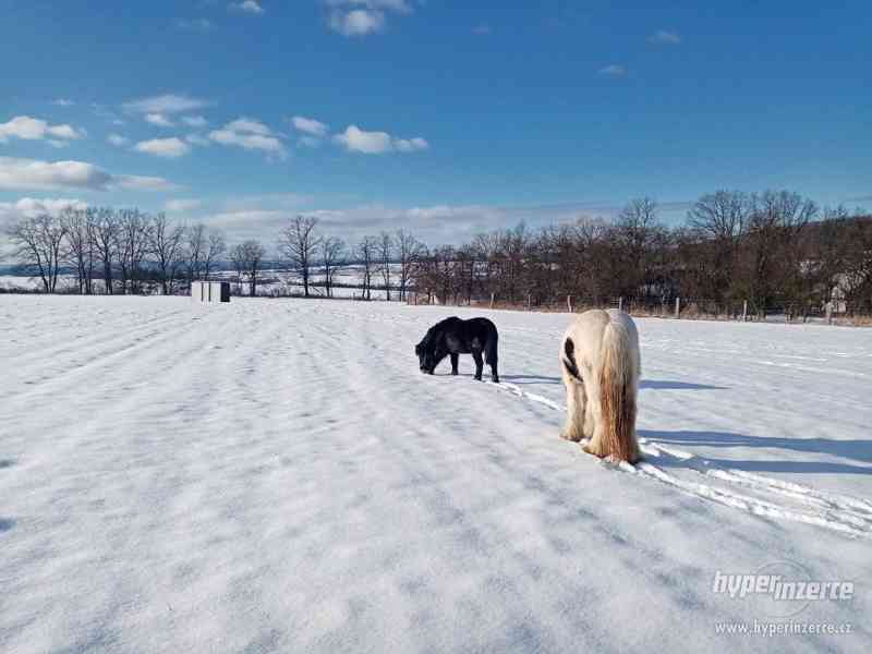 Nabídka ustájení pro vaše koně na Františkově farmě - foto 5