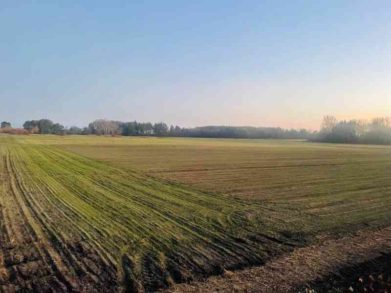 Prodej orné půdy 45 172 m² Malých Levár - foto 8