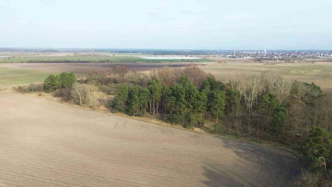 Prodej orné půdy 45 172 m² Malých Levár - foto 12