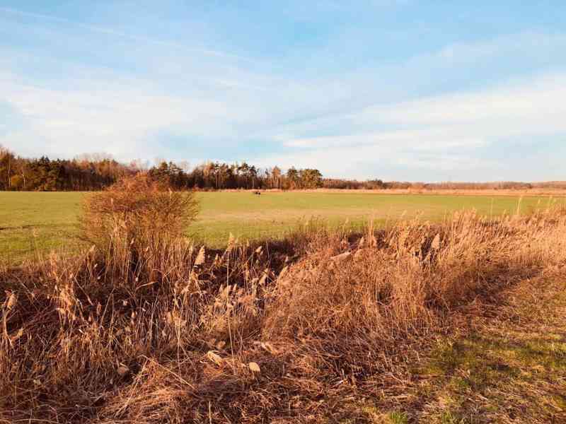 Prodej orné půdy 45 172 m² Malých Levár - foto 5