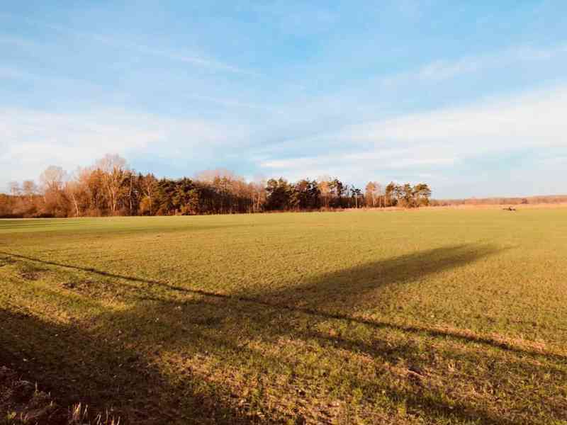 Prodej orné půdy 45 172 m² Malých Levár - foto 4
