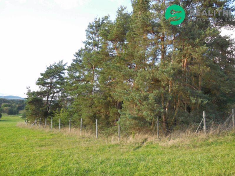 Soubor pozemků Bezemín a Lomnička - foto 2