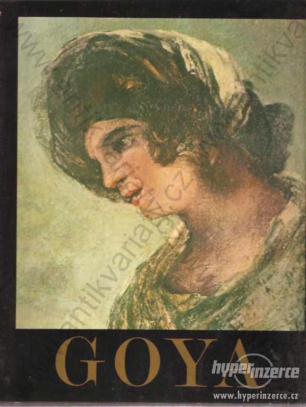 Goya II José Gudiol 1746 - 1828 1982 - foto 1