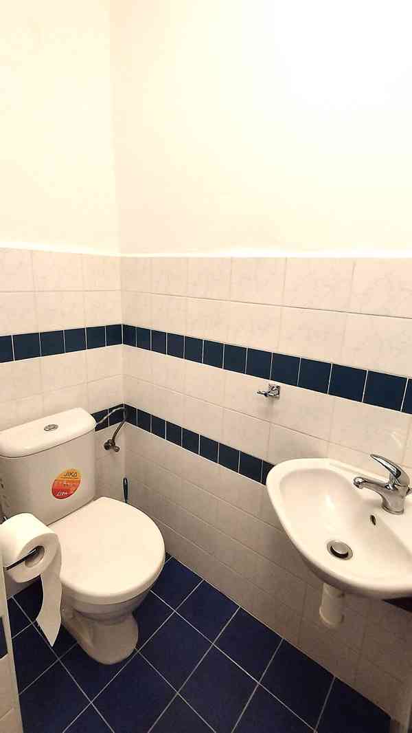 Pronájem rodinného domu 3+1, garáž, pergola, dílna - Oltyně  - foto 17